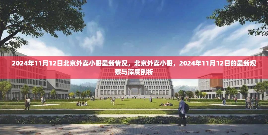 北京外卖小哥最新观察与深度剖析，2024年11月12日报告