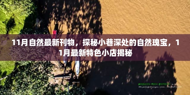 探秘小巷深处的自然瑰宝，揭秘最新特色小店，自然刊物带你领略独特风情