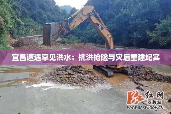 宜昌遭遇罕见洪水：抗洪抢险与灾后重建纪实