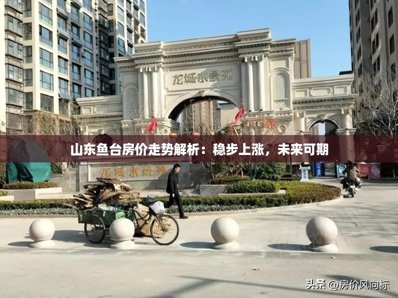 山东鱼台房价走势解析：稳步上涨，未来可期