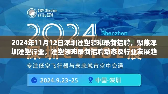 2024年11月深圳注塑领班最新招聘动态及行业发展趋势展望