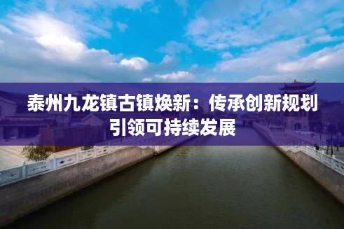 泰州九龙镇古镇焕新：传承创新规划引领可持续发展