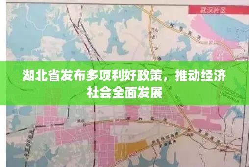 湖北省发布多项利好政策，推动经济社会全面发展