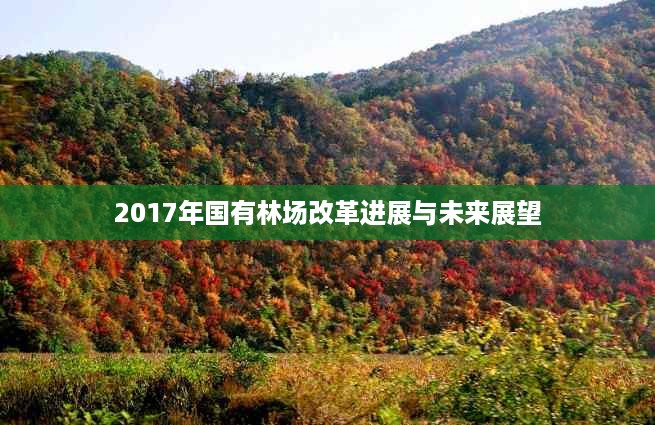 2017年国有林场改革进展与未来展望