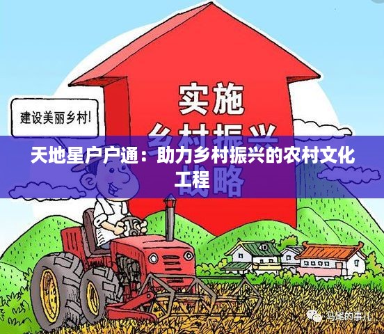 天地星户户通：助力乡村振兴的农村文化工程