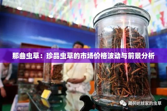 那曲虫草：珍品虫草的市场价格波动与前景分析