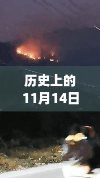 历史上的11月14日森林大火消息全面解读与最新动态分析