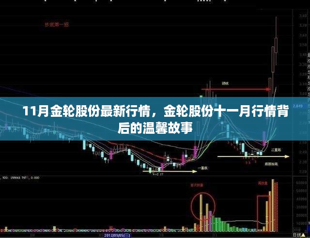 金轮股份十一月行情背后的故事与温馨行情分析