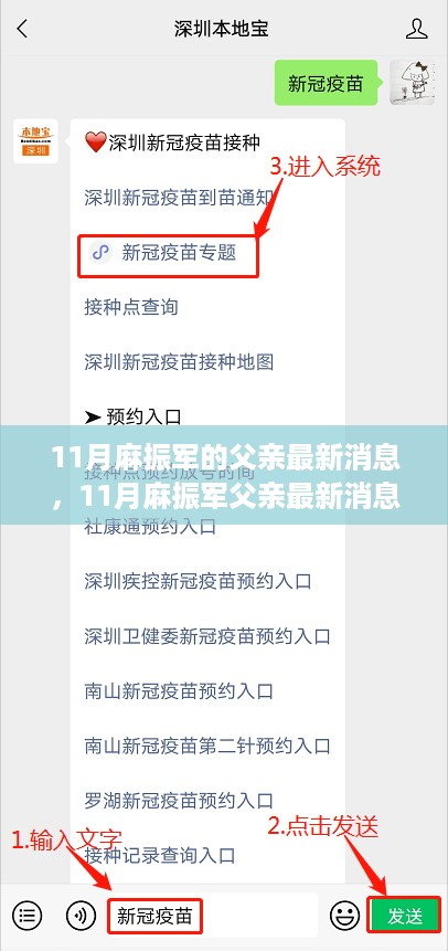 深度关注，11月麻振军父亲最新消息全解析