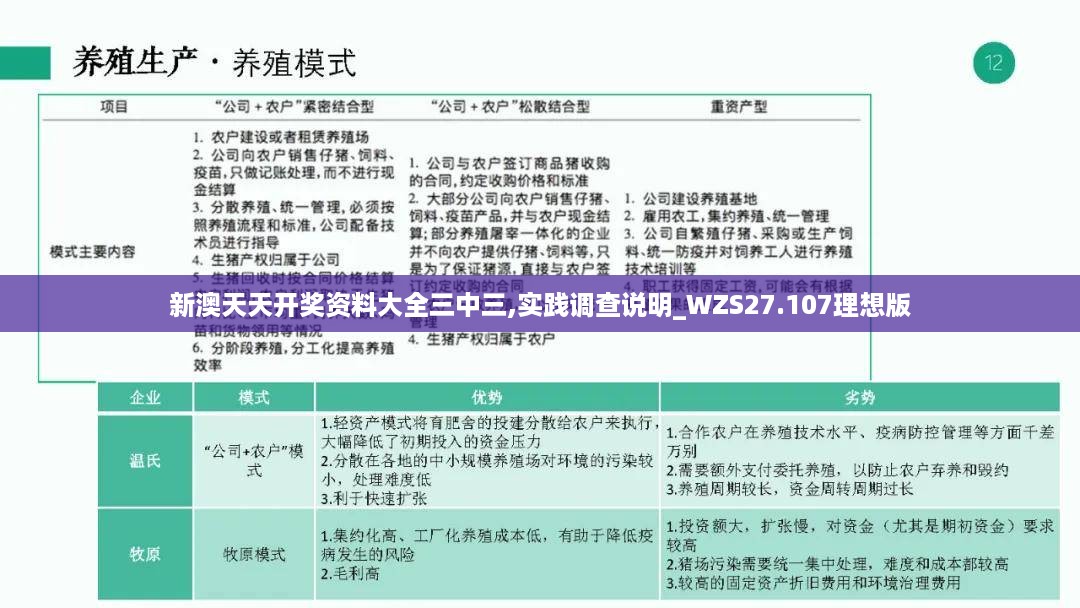 新澳天天开奖资料大全三中三,实践调查说明_WZS27.107理想版