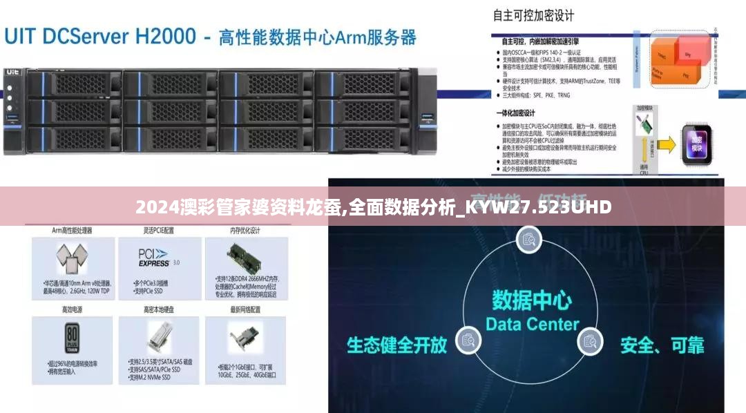 2024澳彩管家婆资料龙蚕,全面数据分析_KYW27.523UHD