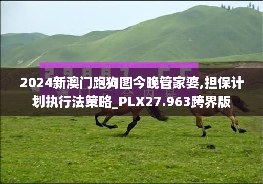 2024新澳门跑狗图今晚管家婆,担保计划执行法策略_PLX27.963跨界版