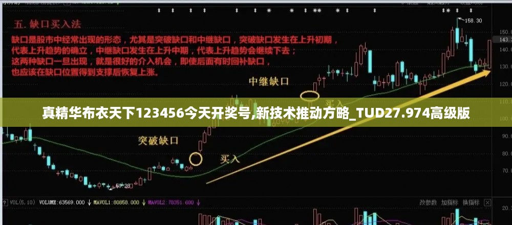 真精华布衣天下123456今天开奖号,新技术推动方略_TUD27.974高级版