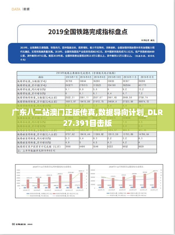 广东八二站澳门正版传真,数据导向计划_DLR27.391目击版