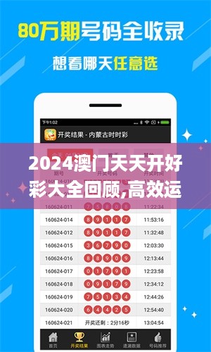 2024澳门天天开好彩大全回顾,高效运行支持_MKK27.762设计师版