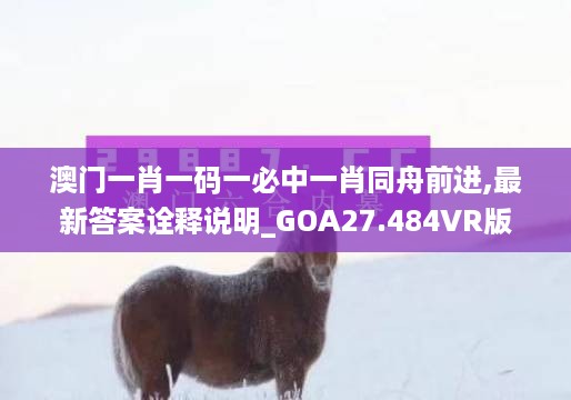 澳门一肖一码一必中一肖同舟前进,最新答案诠释说明_GOA27.484VR版