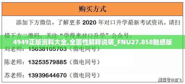 4949正版资料大全,全面性解释说明_FNU27.858触感版