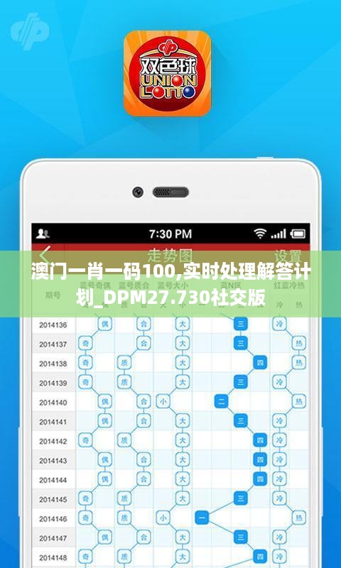 澳门一肖一码100,实时处理解答计划_DPM27.730社交版