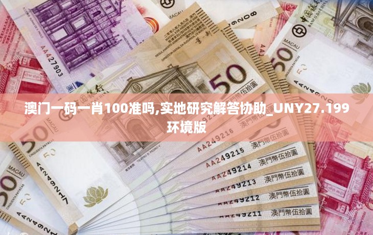 澳门一码一肖100准吗,实地研究解答协助_UNY27.199环境版