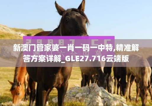 新澳门管家婆一肖一码一中特,精准解答方案详解_GLE27.716云端版