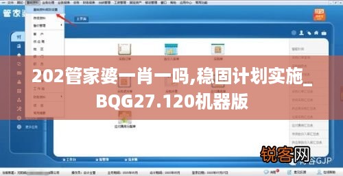 202管家婆一肖一吗,稳固计划实施_BQG27.120机器版