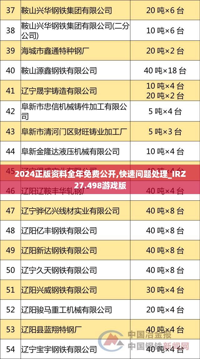 2024正版资料全年免费公开,快速问题处理_IRZ27.498游戏版