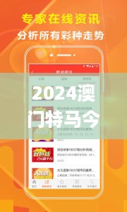 2024澳门特马今晚开奖亿彩网,执行验证计划_FVW27.600性能版