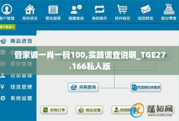 管家婆一肖一码100,实践调查说明_TGE27.166私人版