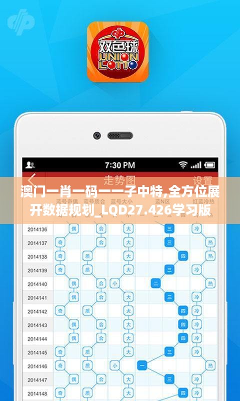 澳门一肖一码一一子中特,全方位展开数据规划_LQD27.426学习版