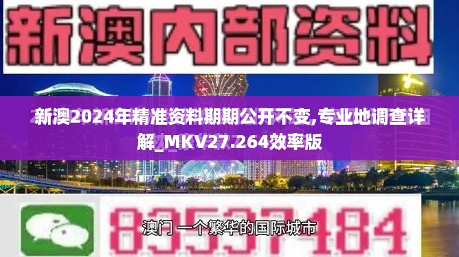 新澳2024年精准资料期期公开不变,专业地调查详解_MKV27.264效率版