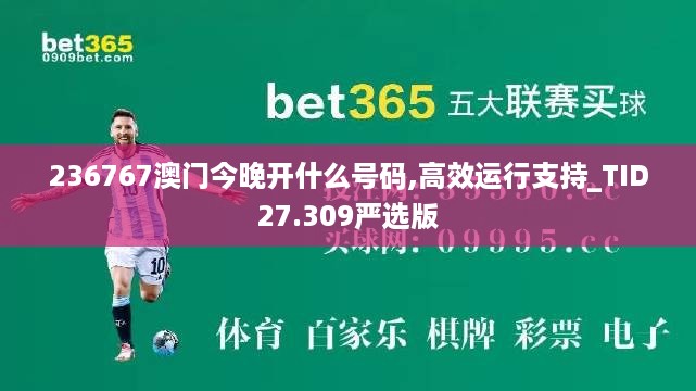 236767澳门今晚开什么号码,高效运行支持_TID27.309严选版