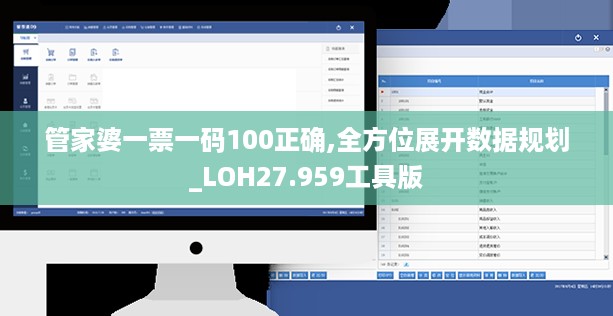 管家婆一票一码100正确,全方位展开数据规划_LOH27.959工具版