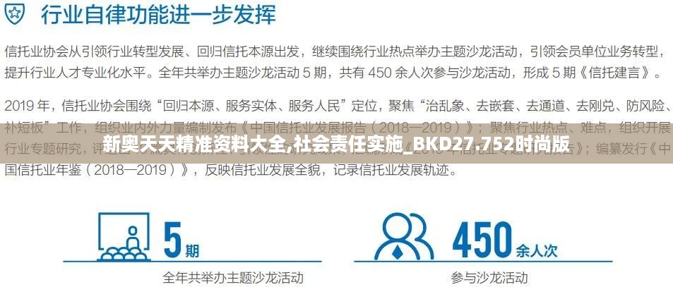 新奥天天精准资料大全,社会责任实施_BKD27.752时尚版