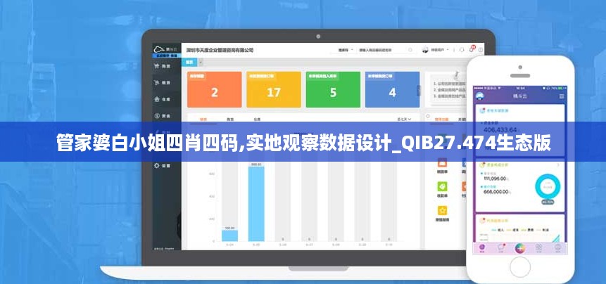管家婆白小姐四肖四码,实地观察数据设计_QIB27.474生态版