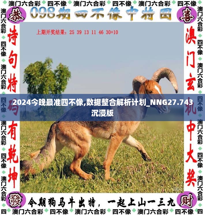 2024今晚最准四不像,数据整合解析计划_NNG27.743沉浸版