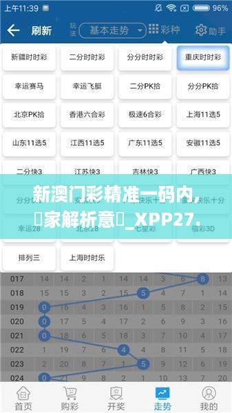 新澳门彩精准一码内,專家解析意見_XPP27.104服务器版