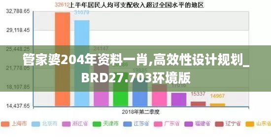 管家婆204年资料一肖,高效性设计规划_BRD27.703环境版