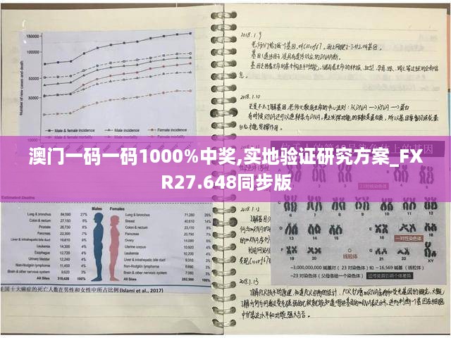 澳门一码一码1000%中奖,实地验证研究方案_FXR27.648同步版