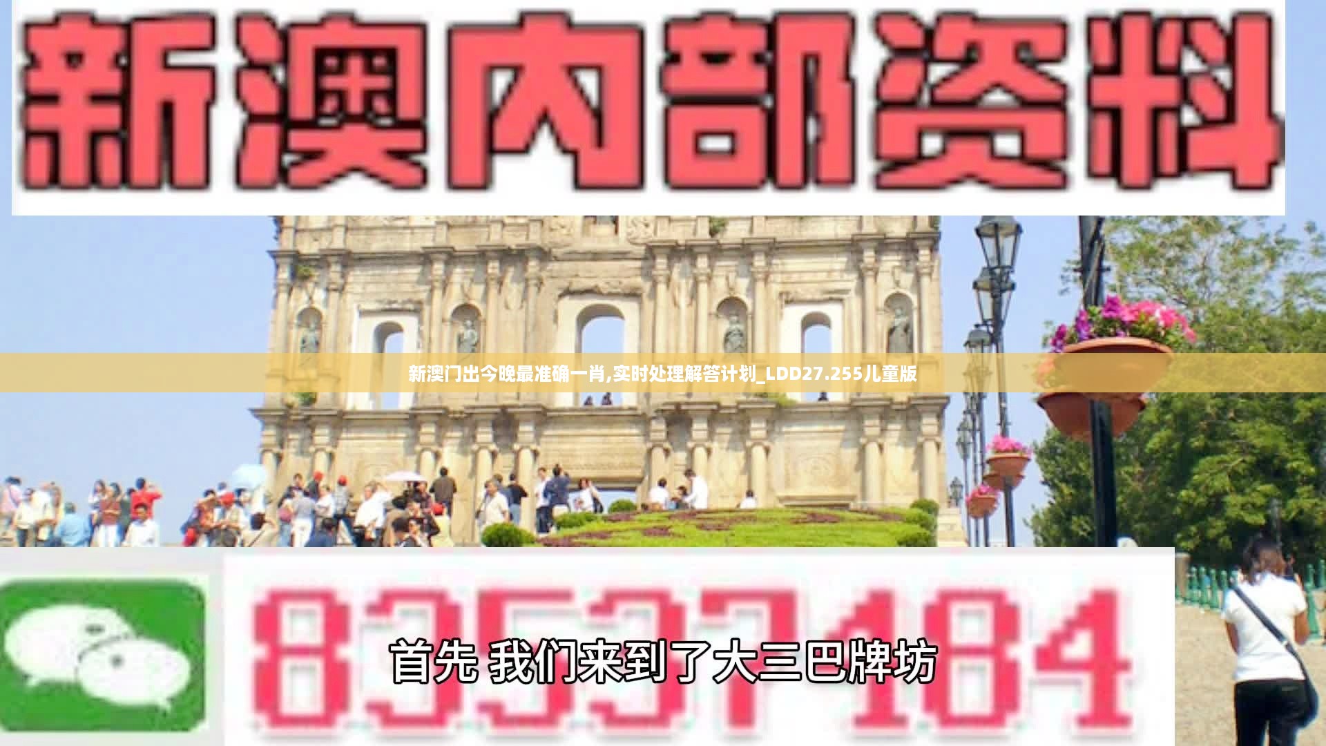 新澳门出今晚最准确一肖,实时处理解答计划_LDD27.255儿童版