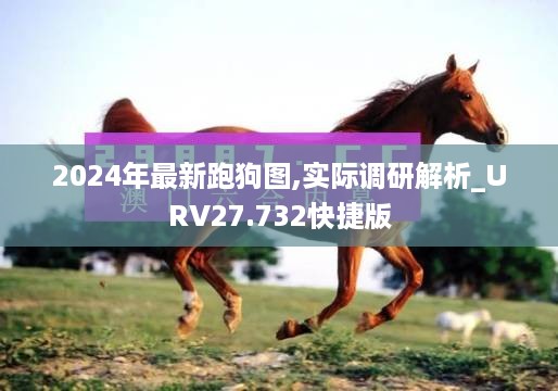 2024年最新跑狗图,实际调研解析_URV27.732快捷版