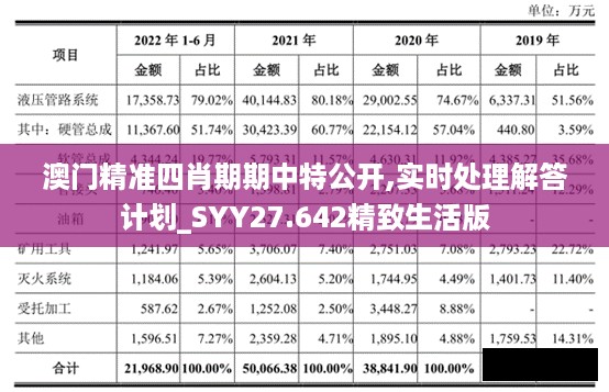 澳门精准四肖期期中特公开,实时处理解答计划_SYY27.642精致生活版