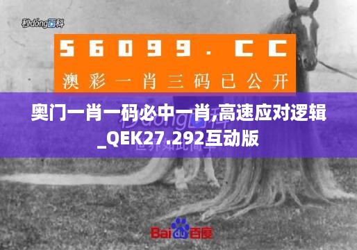 奥门一肖一码必中一肖,高速应对逻辑_QEK27.292互动版