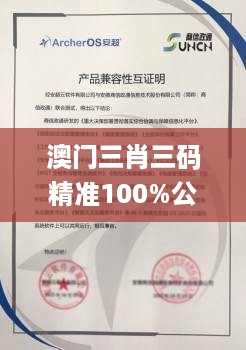 澳门三肖三码精准100%公司认证,实地数据验证_OUB27.353光辉版