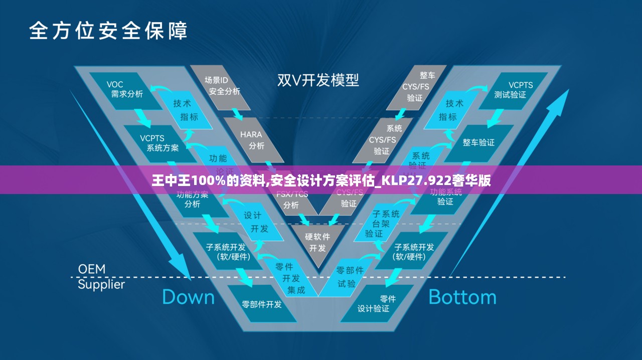 王中王100%的资料,安全设计方案评估_KLP27.922奢华版