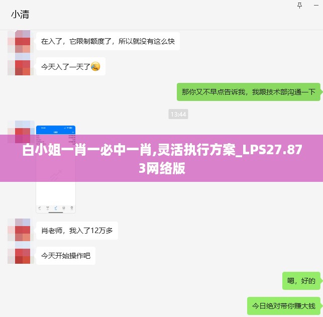 白小姐一肖一必中一肖,灵活执行方案_LPS27.873网络版