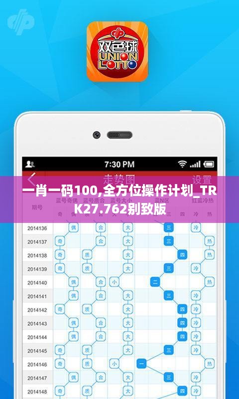 一肖一码100,全方位操作计划_TRK27.762别致版