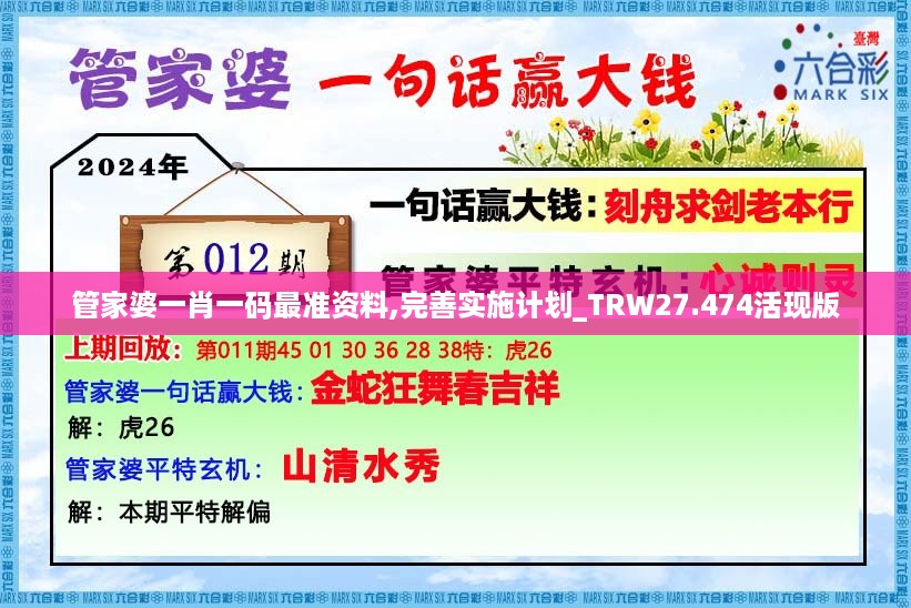 管家婆一肖一码最准资料,完善实施计划_TRW27.474活现版