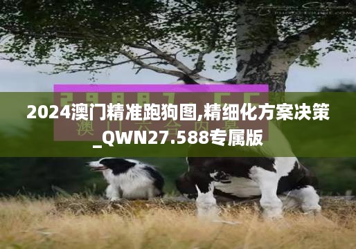 2024澳门精准跑狗图,精细化方案决策_QWN27.588专属版