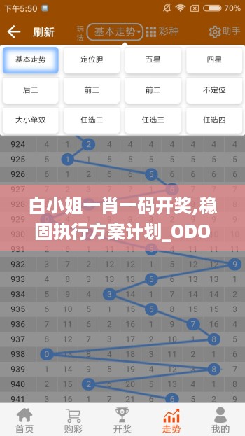 白小姐一肖一码开奖,稳固执行方案计划_ODO27.169持久版