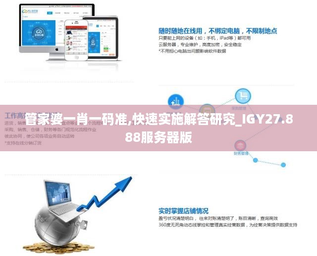 管家婆一肖一码准,快速实施解答研究_IGY27.888服务器版